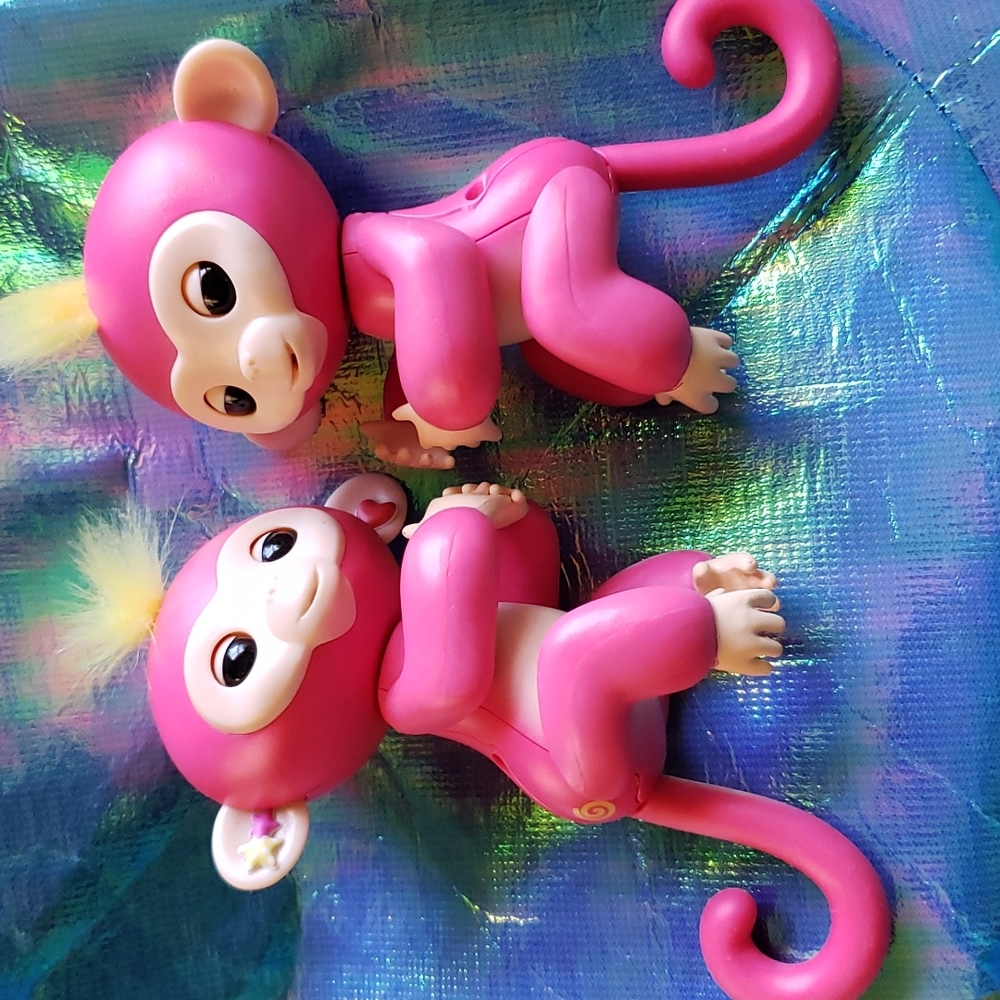 Fingerlings monkeys 🐒